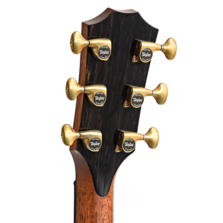 Back Headstock of Taylor 914ce Acoustic Guitar