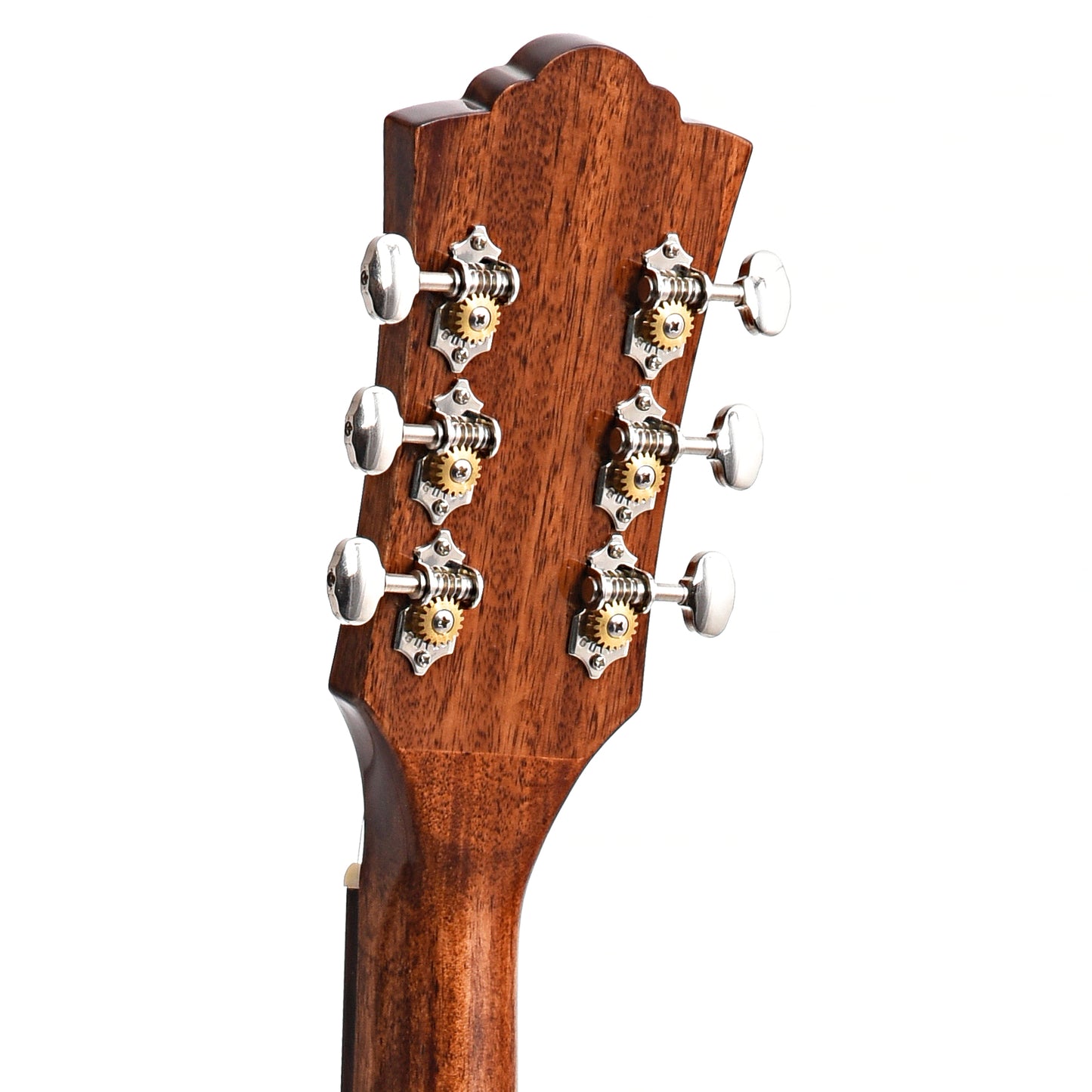 Back Headstock of Guild Westerly Collection D-120 Acoustic Guitar