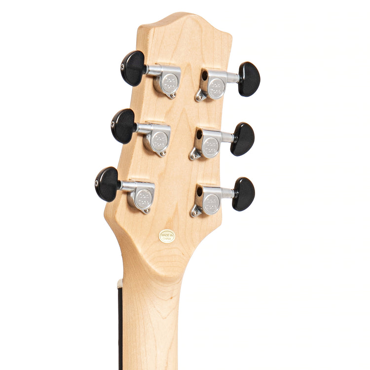 Image 8 of Gold Tone EB-6 6-String Electric Banjo & Gigbag - SKU# GTEB6 : Product Type 6-string Banjos : Elderly Instruments