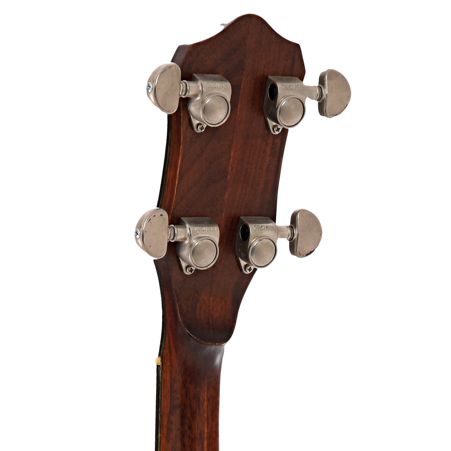 Back headstock of Fairchild Tenor Guitar 
