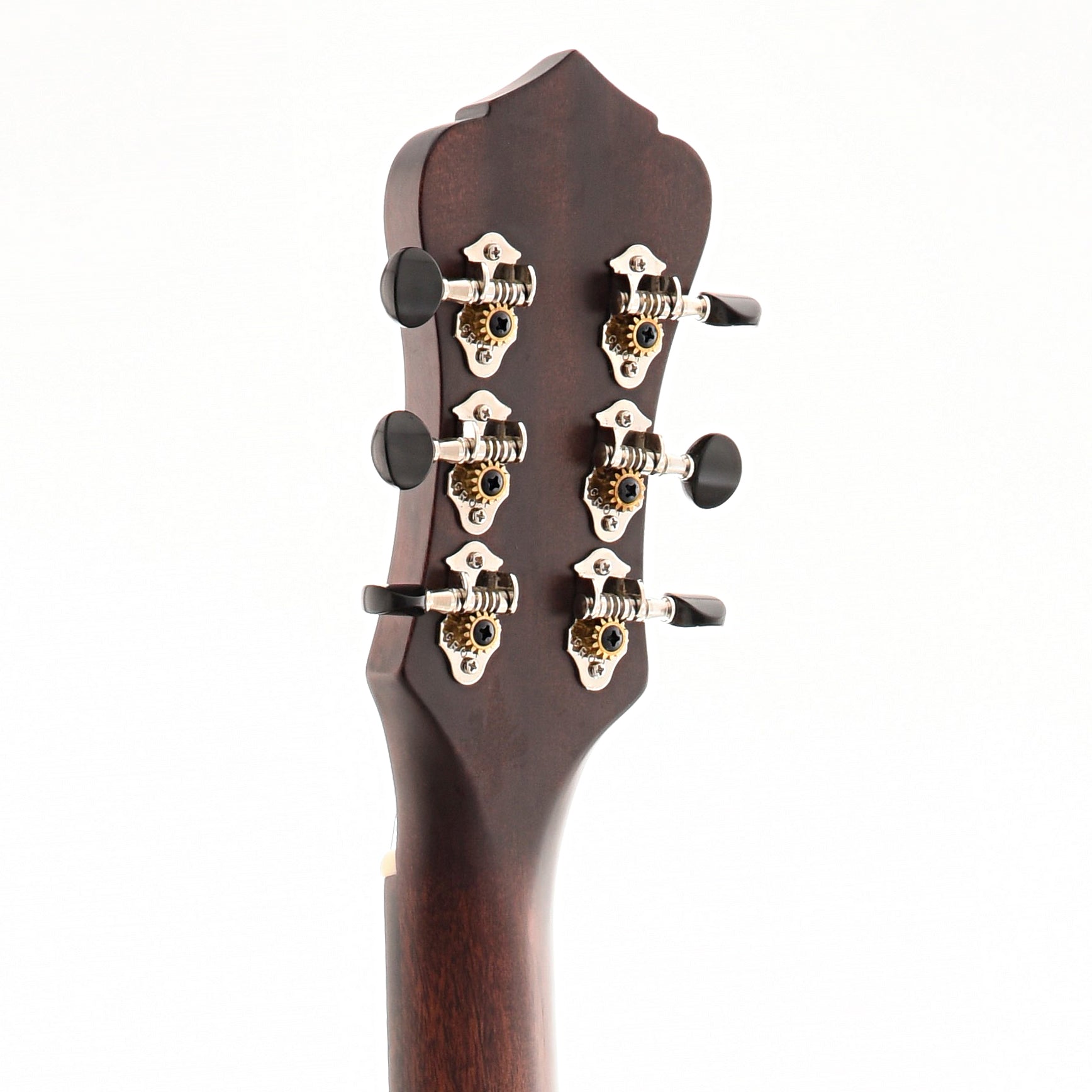 Back Headstock of Recording King Limited Edition "Swamp Dog" Resonator Guitar