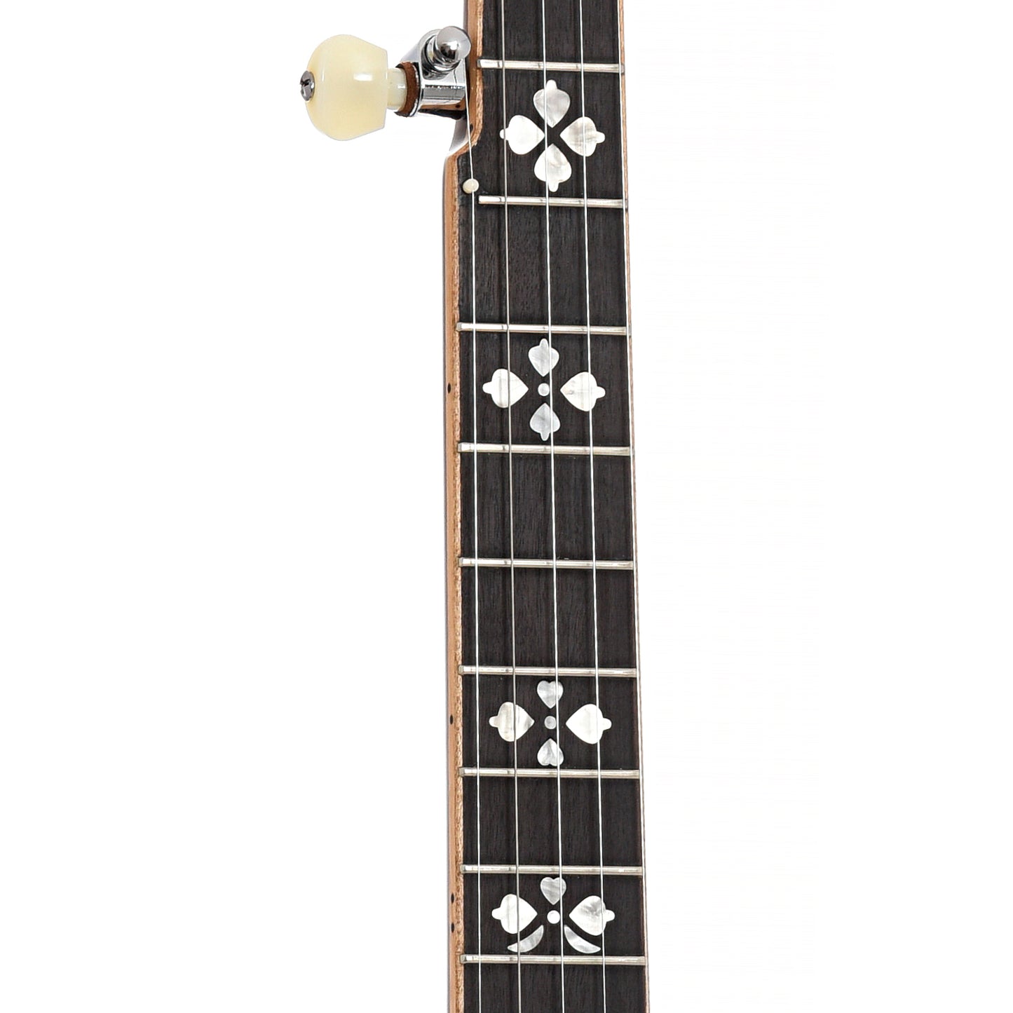 Neck of Gold Tone OB-250LW Banjo