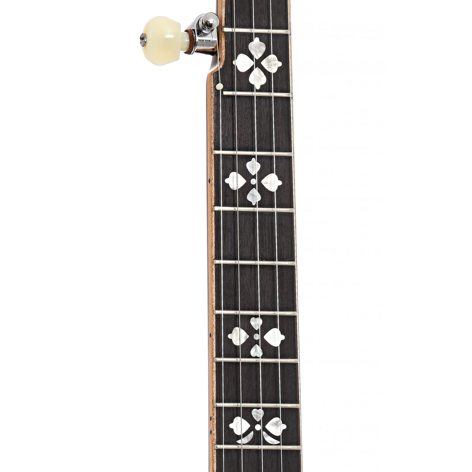 Neck of Gold Tone OB-250LW Banjo