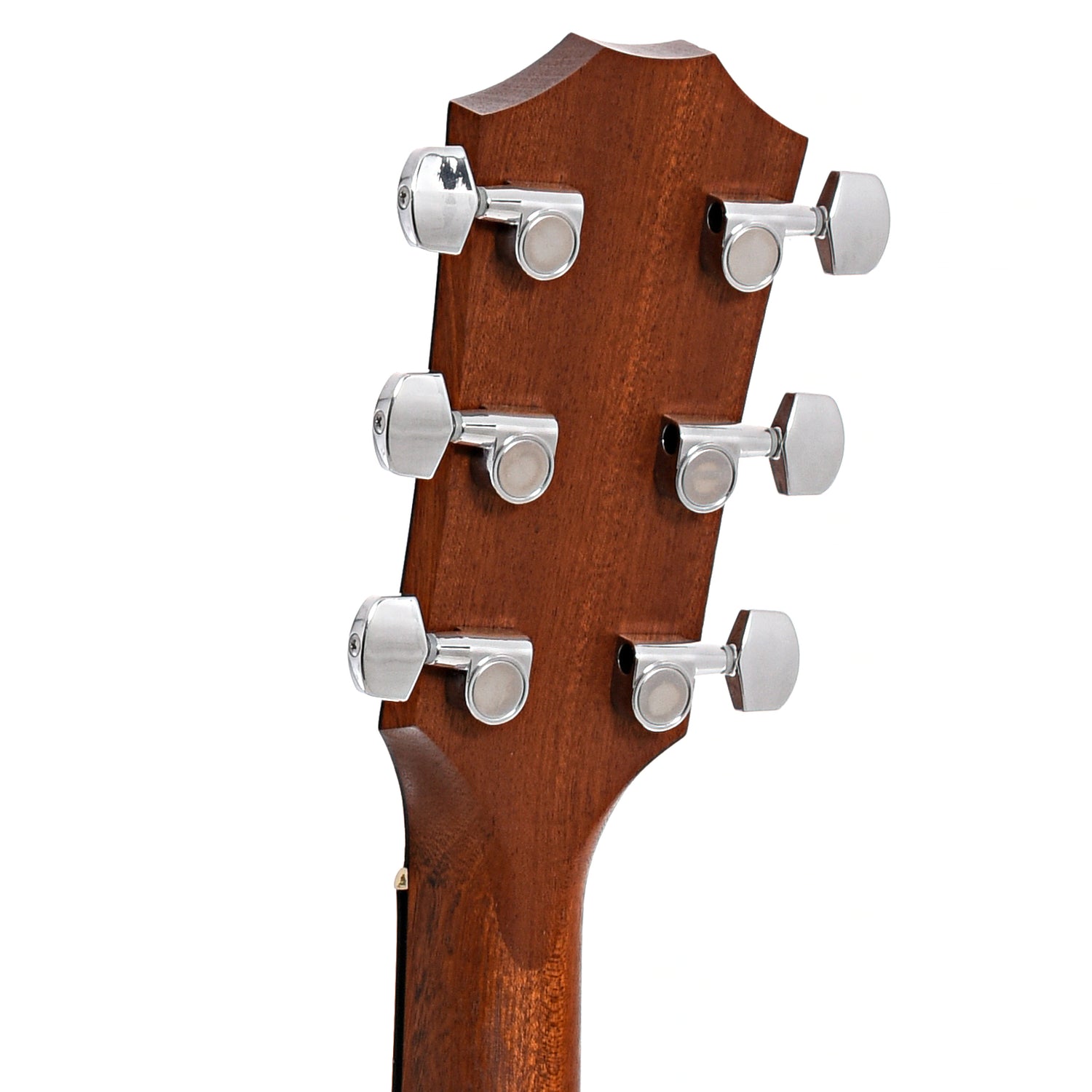 Back headstock of Taylor 214ce Acoustic 