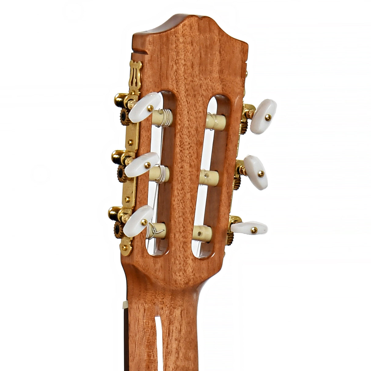 Image 8 of Cordoba C5-CE Lefty Classical Guitar - SKU# CORC5CEL : Product Type Classical & Flamenco Guitars : Elderly Instruments