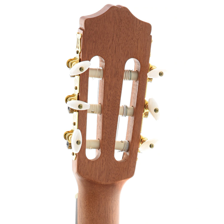 Image 7 of Cordoba Protege C1M (recent) - SKU# 28U-201864 : Product Type Classical & Flamenco Guitars : Elderly Instruments