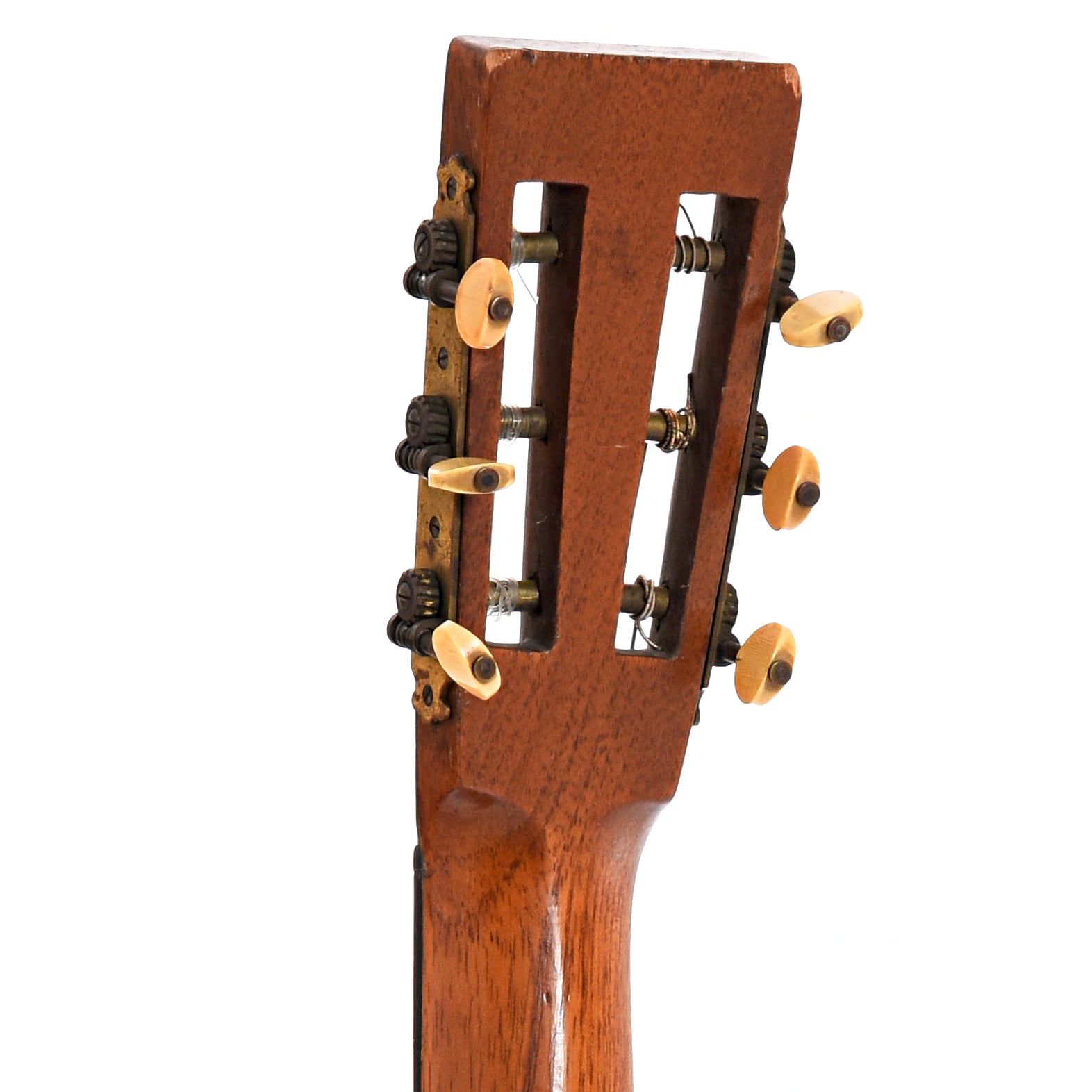 Back headstock of Washburn Model 1895
