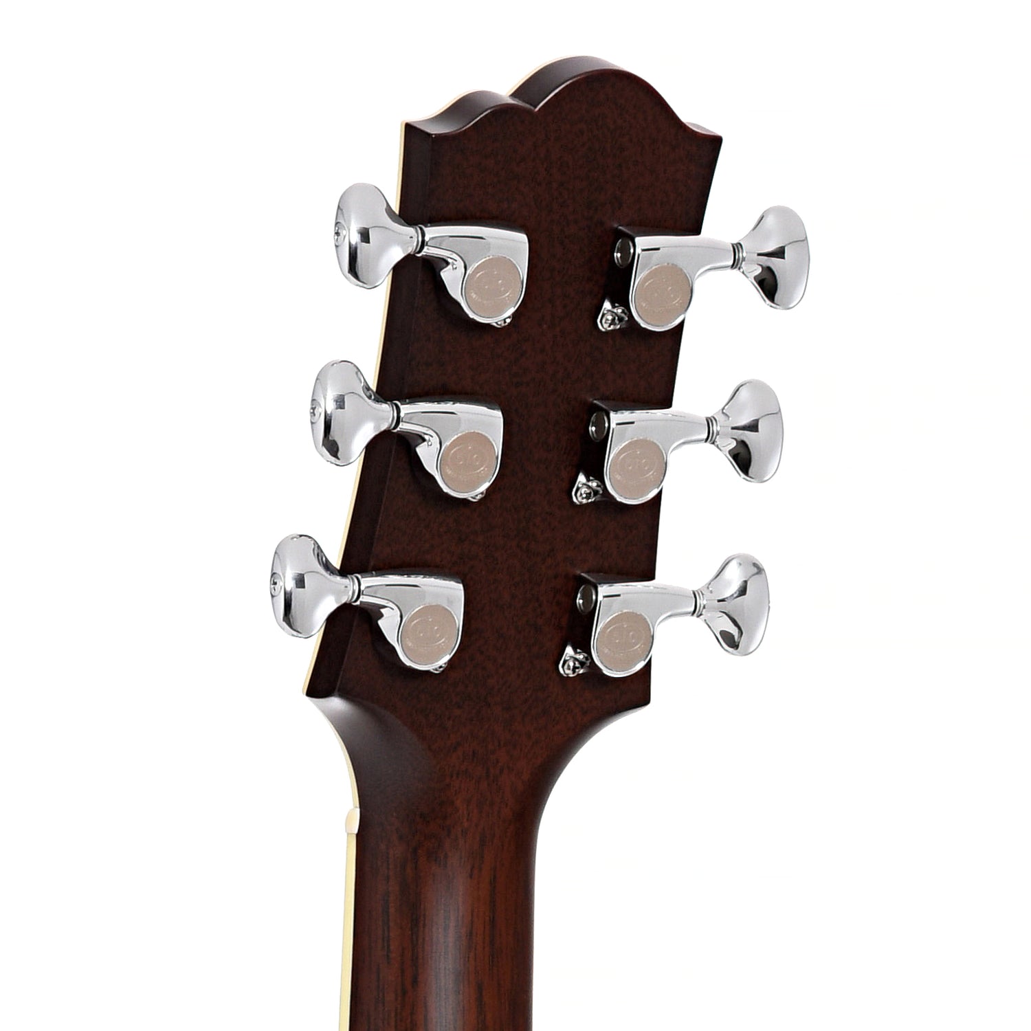 Image 8 of Santa Cruz Custom Model F Guitar & Case- SKU# SCF-101 : Product Type Flat-top Guitars : Elderly Instruments
