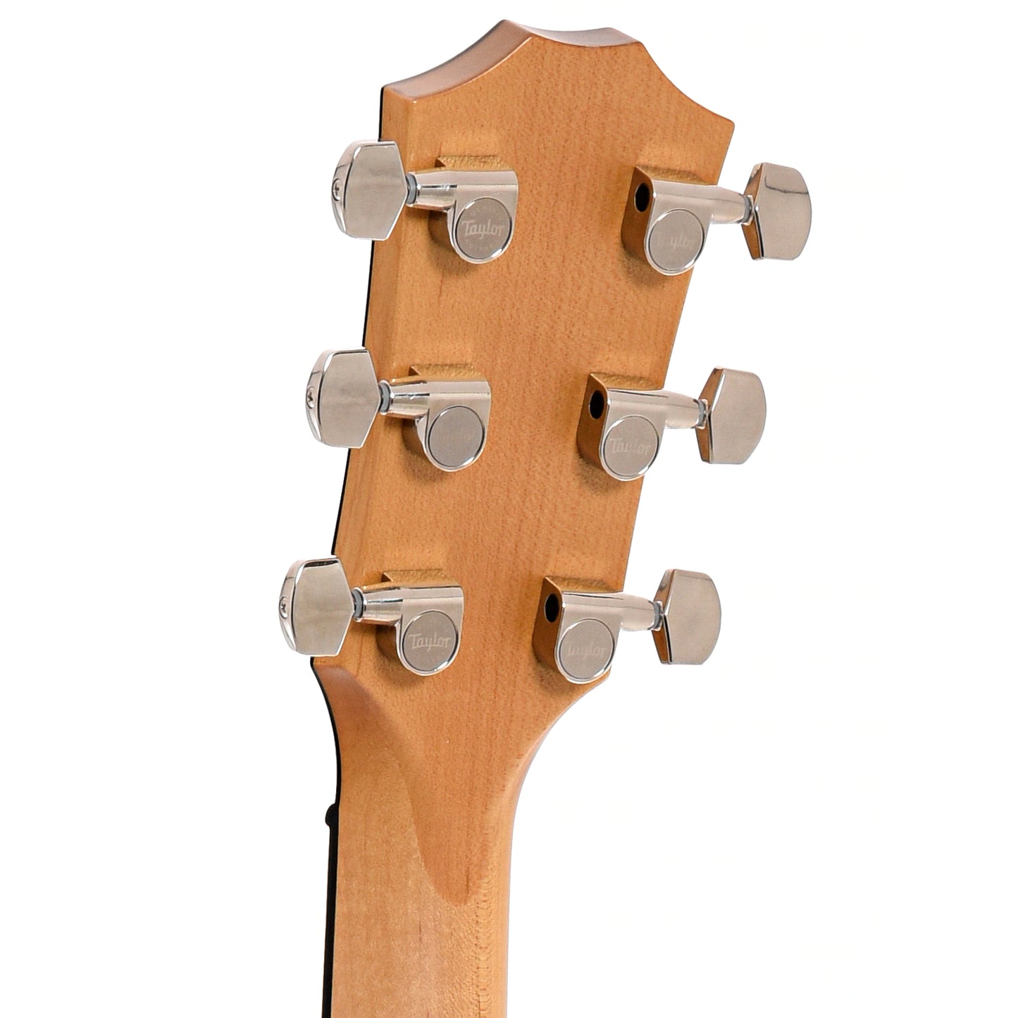 Back headstock of Taylor 618e Acoustic-Electric 