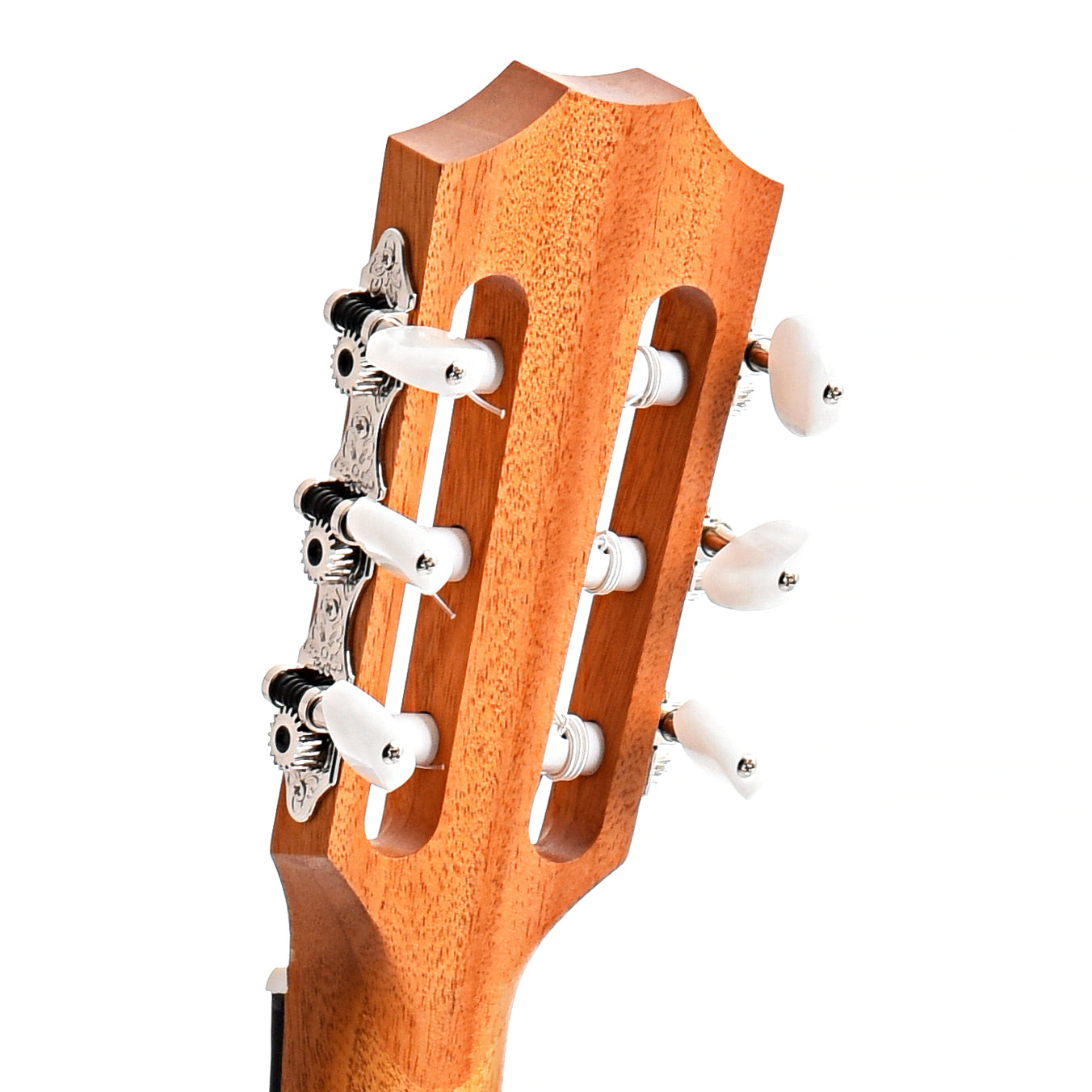 Back headstock of Taylor Academy 12e-N Nylon String Acoustic