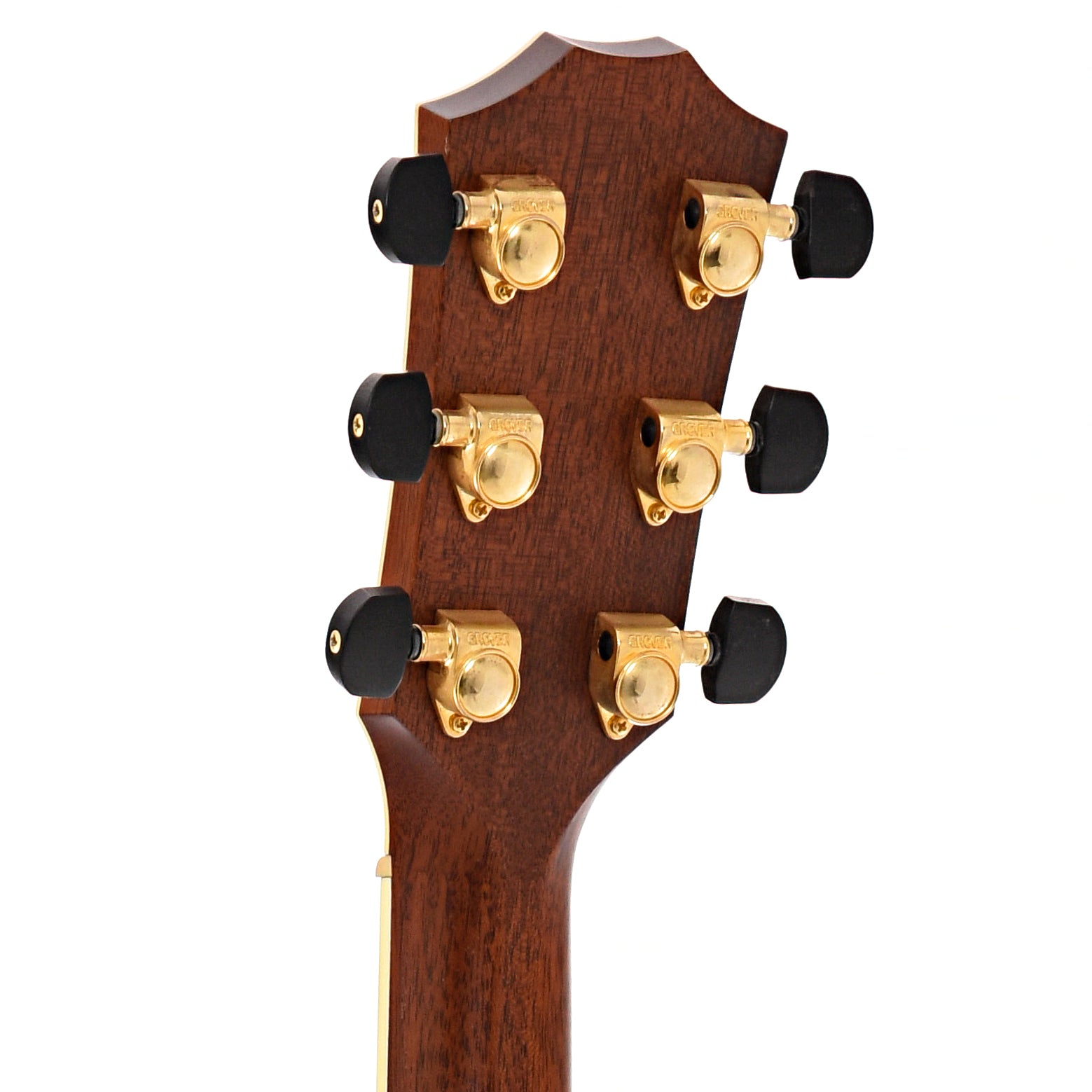 Back headstock of Taylor 914ce Acoustic 