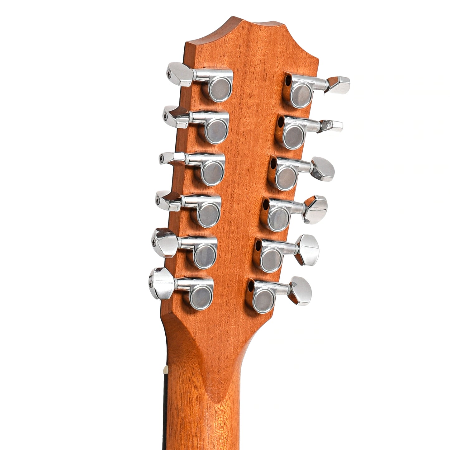 Image 8 of Taylor 150e 12-String (2016)- SKU# 26U-209933 : Product Type 12-String Guitars : Elderly Instruments