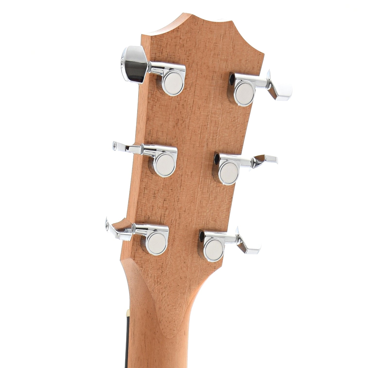 Back Headstock of Taylor Academy 10e Acoustic Guitar
