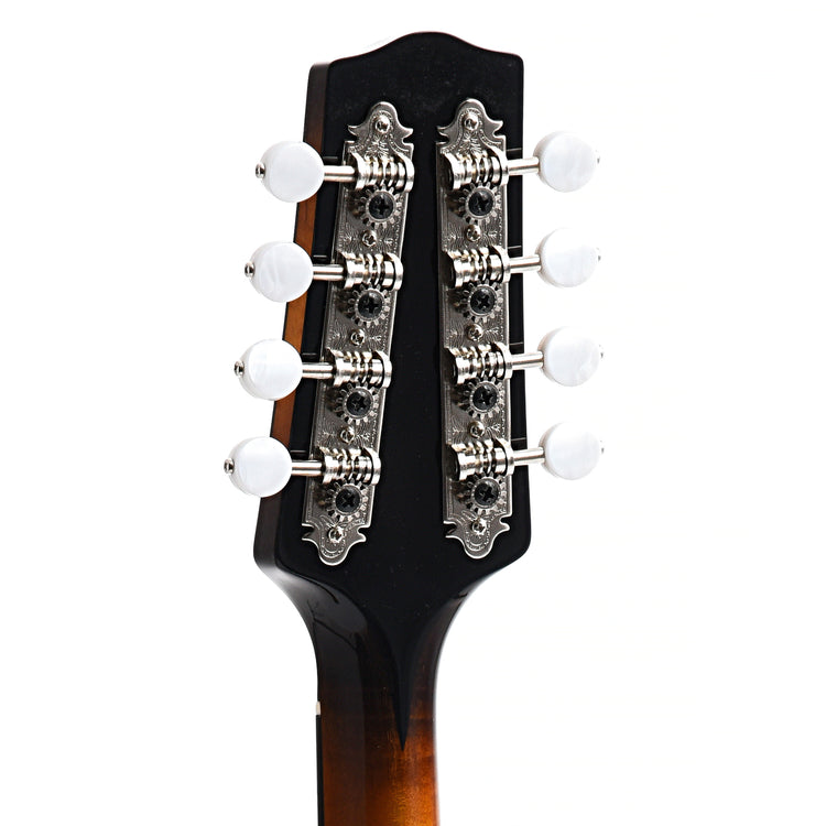Back Headstock of Pava A5 Player Model A-Mandolin 