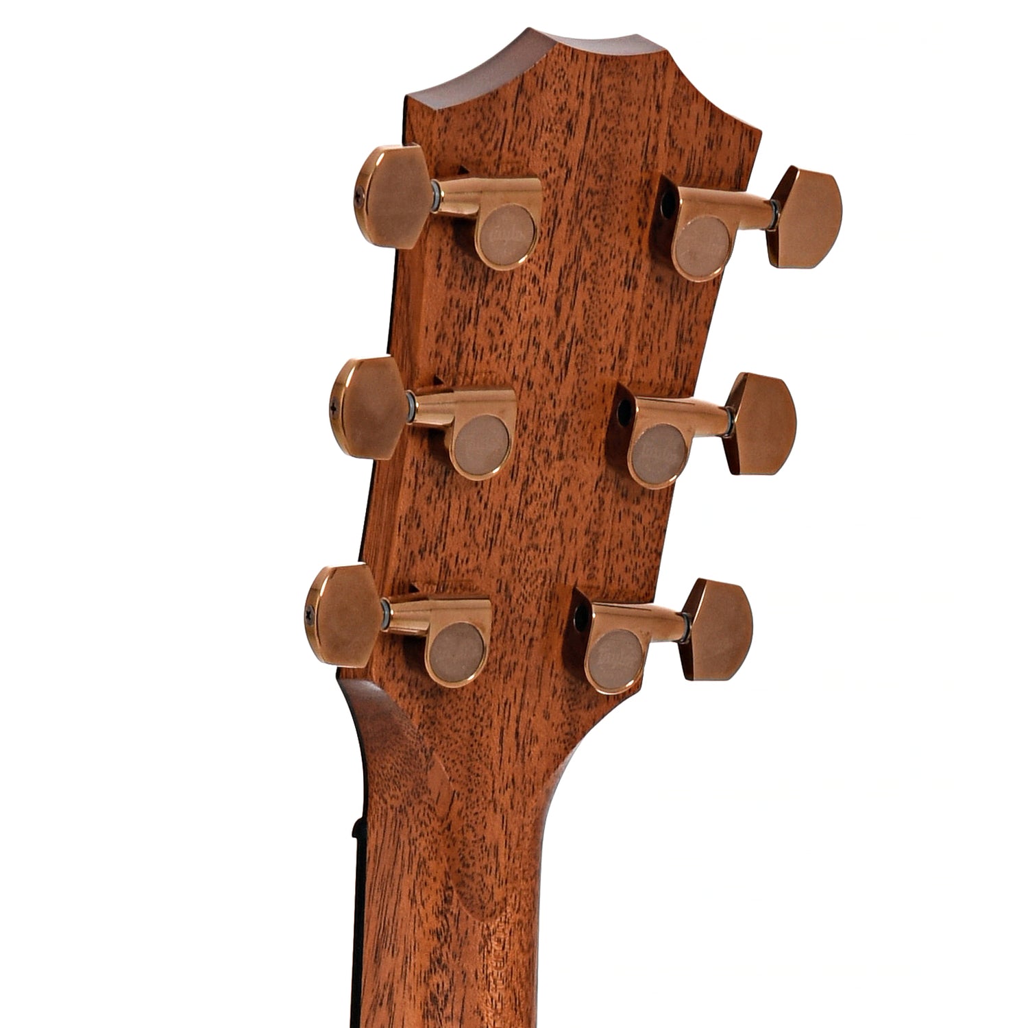 Back headstock of Taylor 722ce Acoustic Guitar