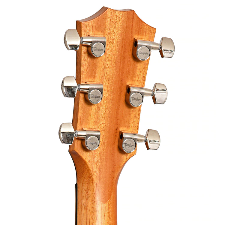 back headstock of Taylor 414ce-R Acoustic Guitar 
