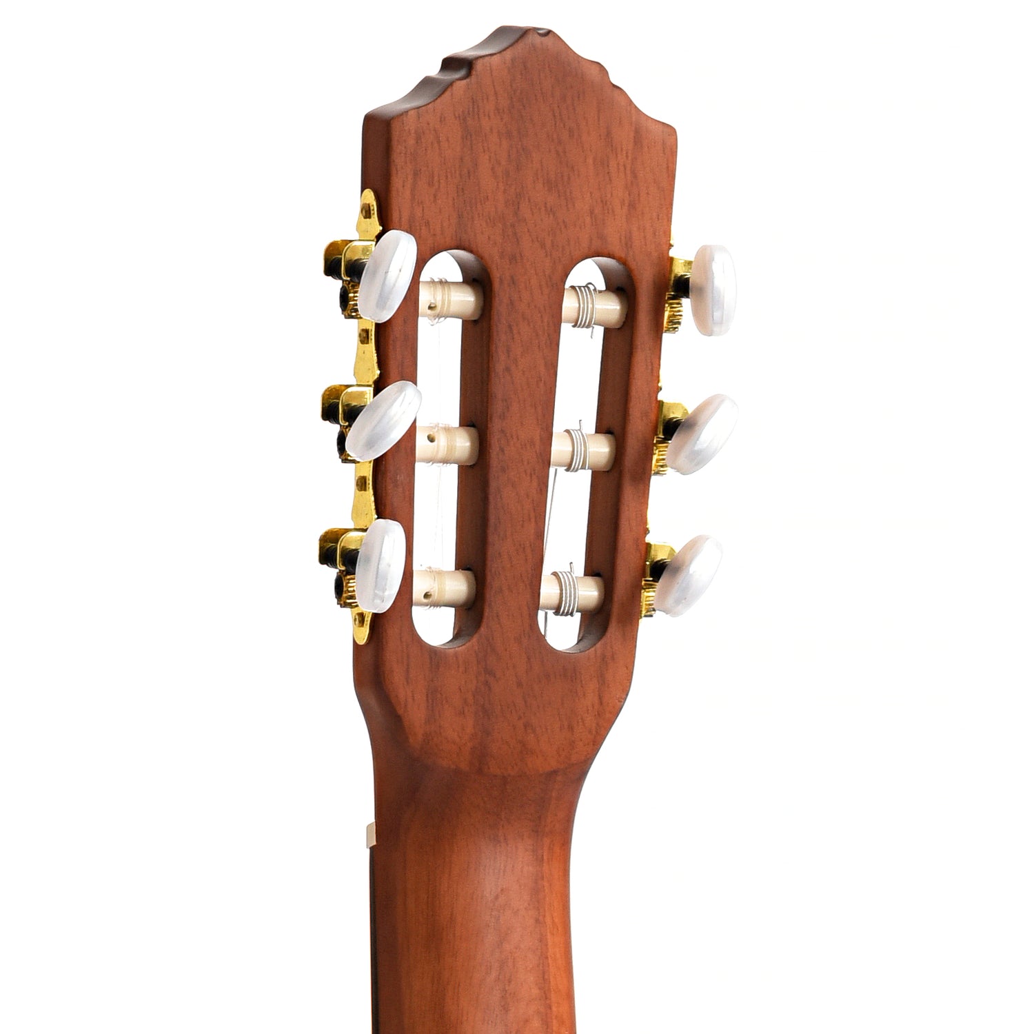 Image 8 of Ortega Family Series Pro R55DLX-BFT Classical Guitar - SKU# R55DLX-BFT : Product Type Classical & Flamenco Guitars : Elderly Instruments