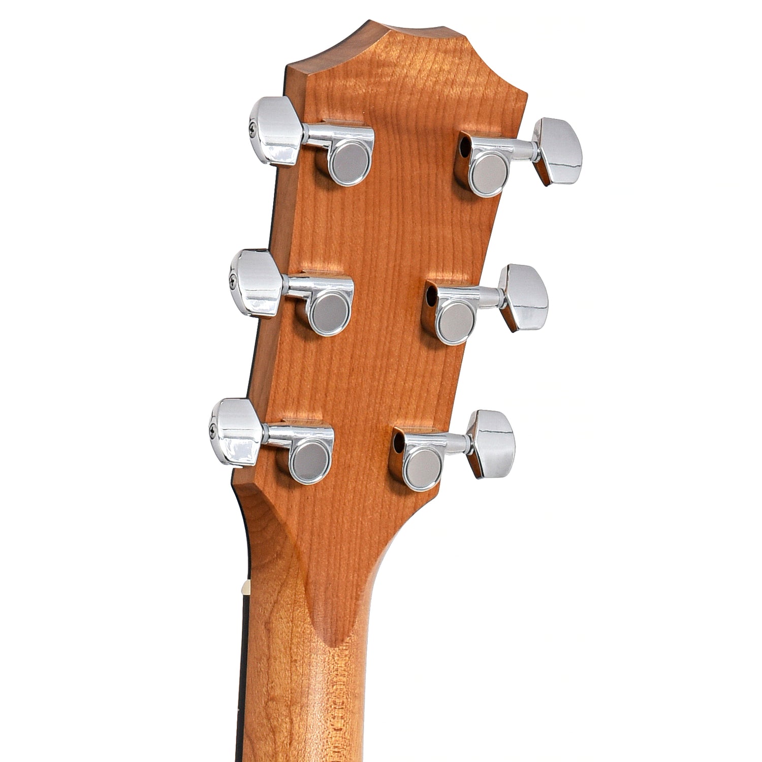 Image 8 of Taylor 114e LH & Bag, Left Handed - SKU# 114EL : Product Type Flat-top Guitars : Elderly Instruments