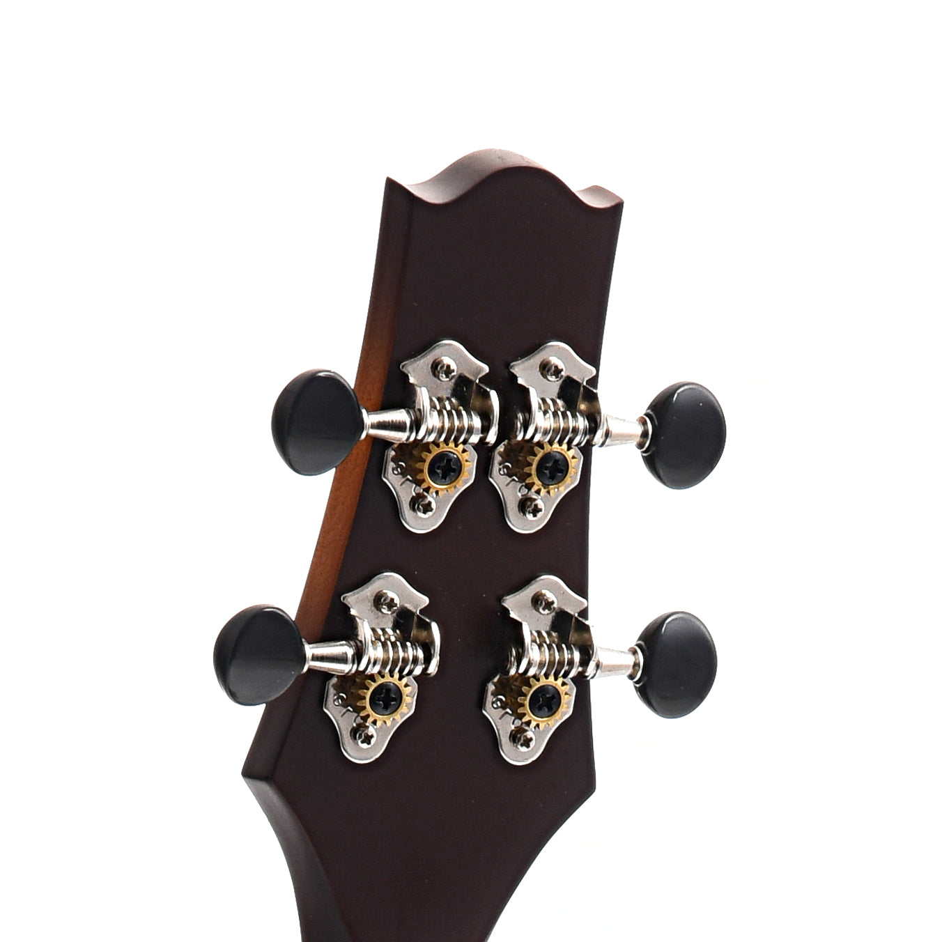 BAck headstock of KR Strings Mandolindo Custom Deluxe Curly Maple