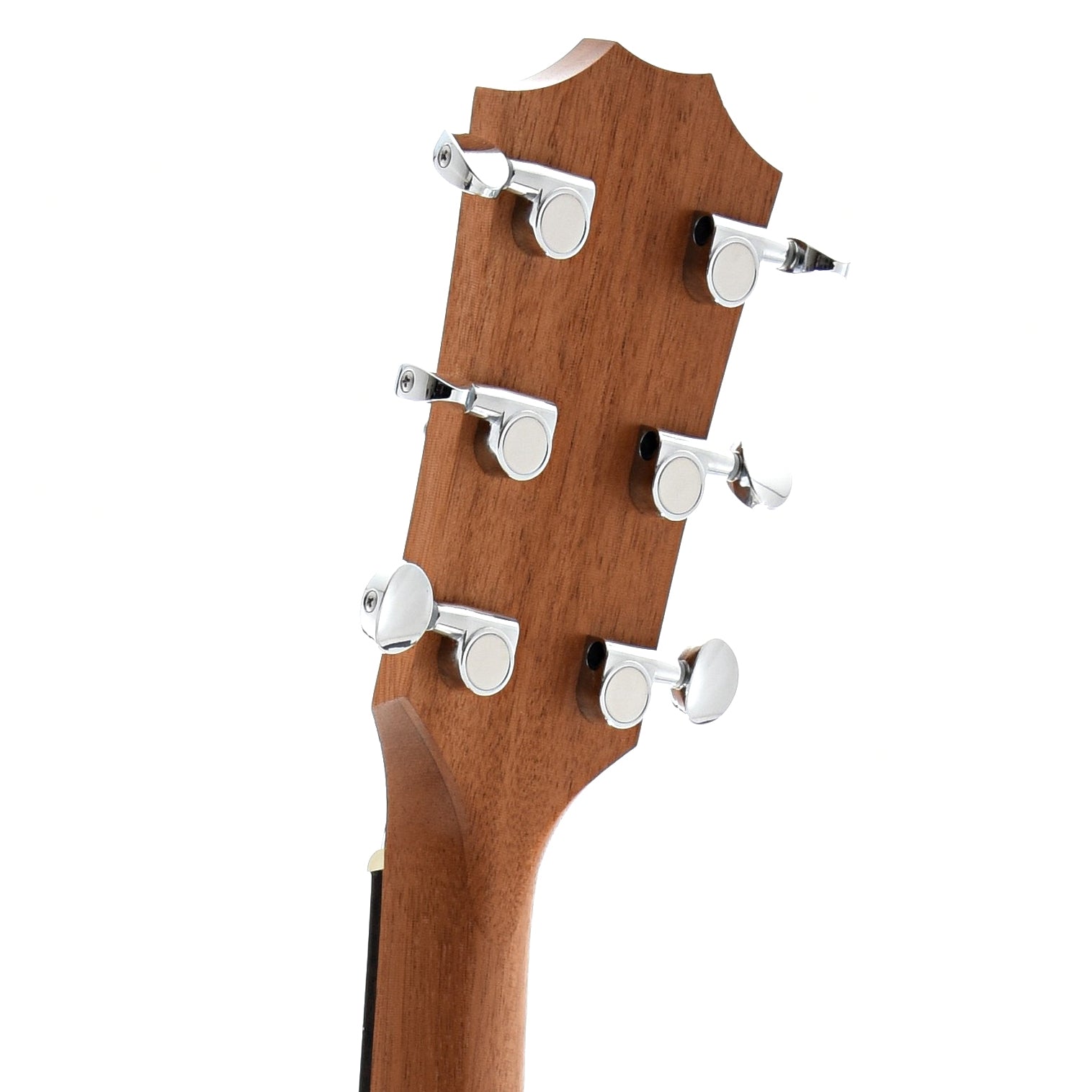Back Headstock of Taylor BBT Big Baby Taylor Acoustic Guitar