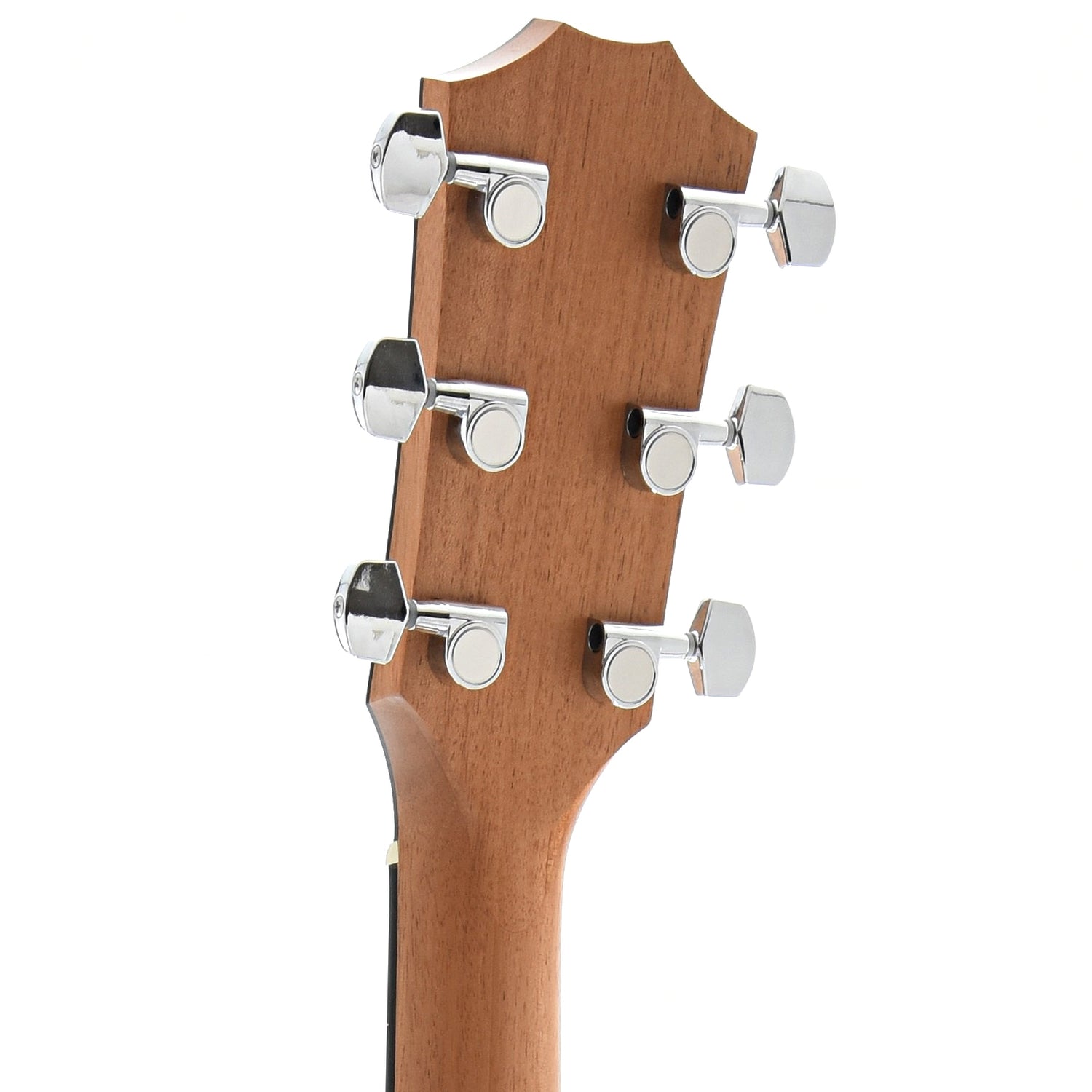 Back Headstock of Taylor 214ce-K Deluxe Acoustic Guitar
