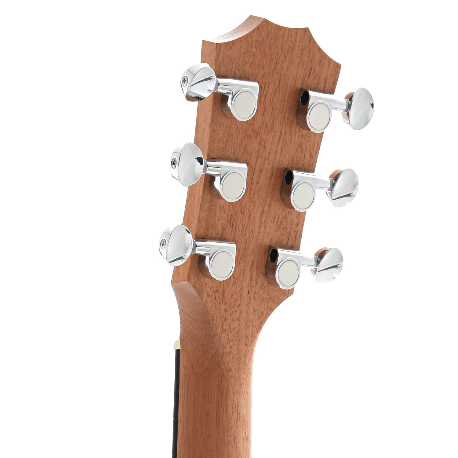 Back Headstock of Taylor GS Mini Mahogany Top 6-String Acoustic Guitar