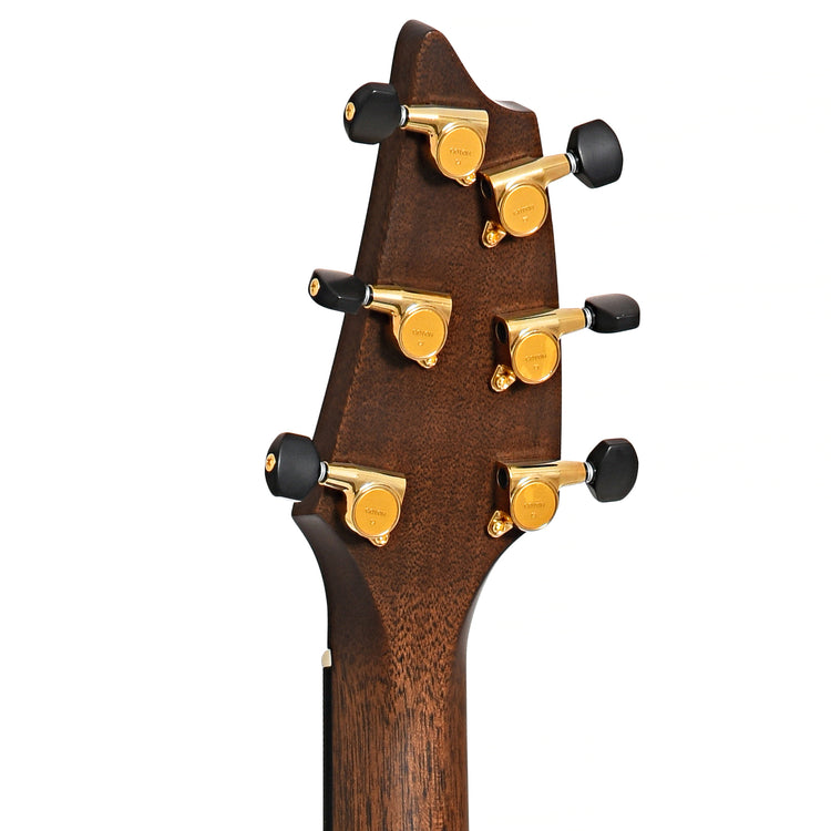 Image 8 of Breedlove Premier Concert CE European-Brazilian LTD Acoustic-Electric Guitar - SKU# BPCLTD-ESBR : Product Type Flat-top Guitars : Elderly Instruments