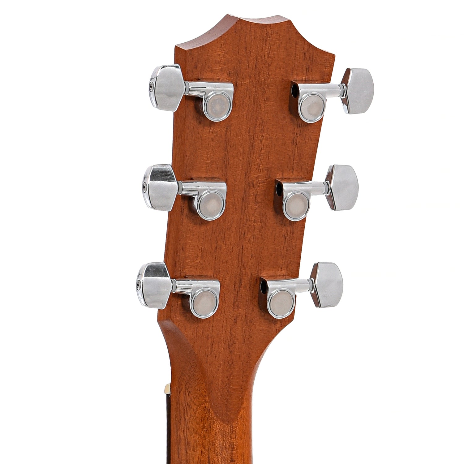 Back headstock of Taylor Academy 12 Acoustic