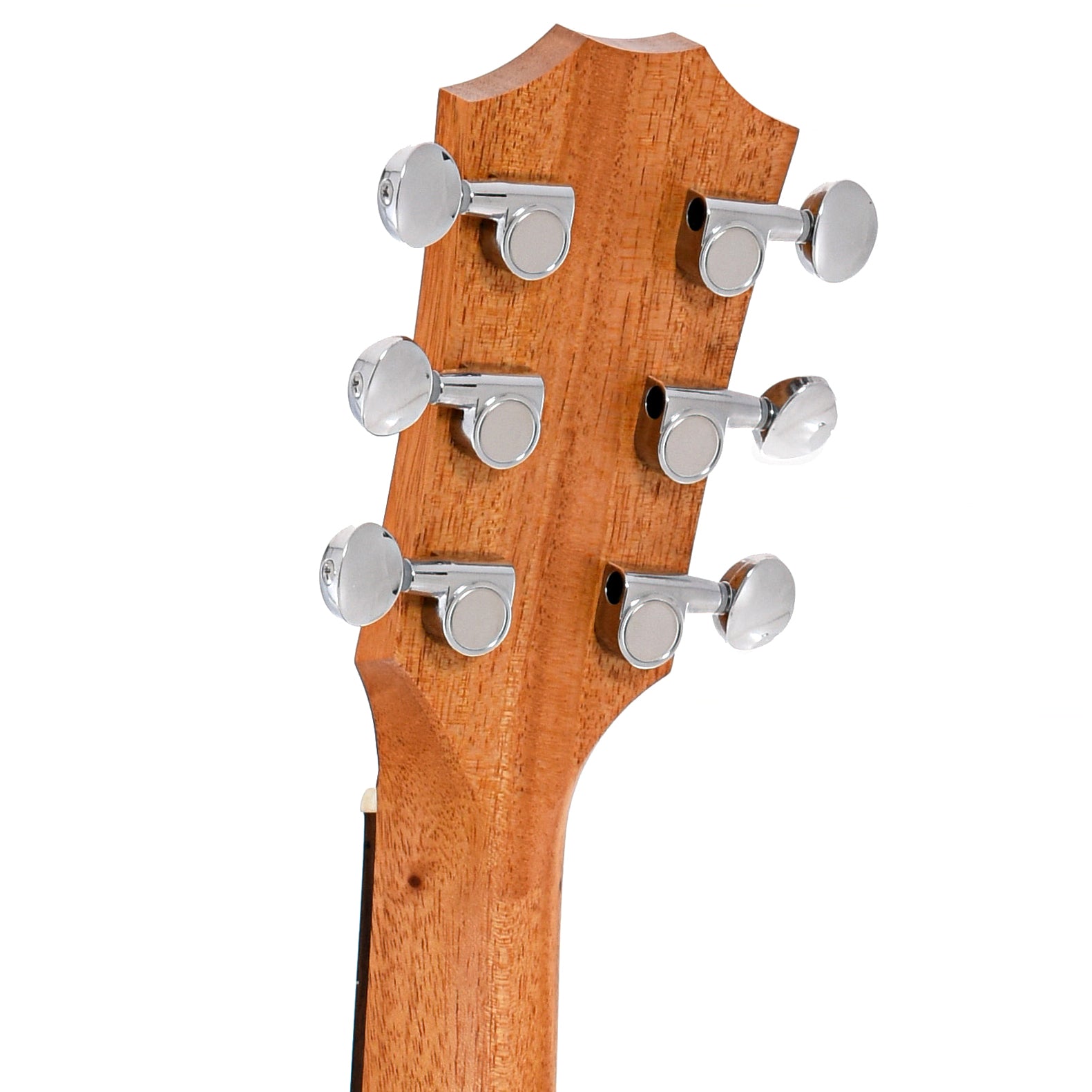 Image 8 of Taylor GS Mini-e Koa 6-String Acoustic Guitar & Gigbag, Left Handed- SKU# GSMINIEKLH : Product Type Flat-top Guitars : Elderly Instruments