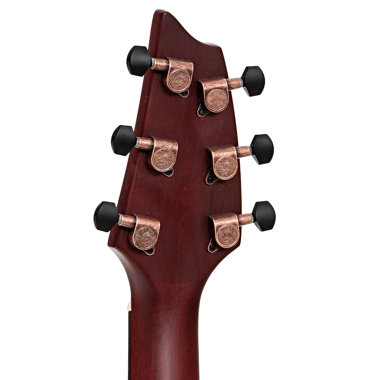 Back headstock of Breedlove Limited Edition Pursuit Exotic S Concert Pinot Burst CE Myrtlewood