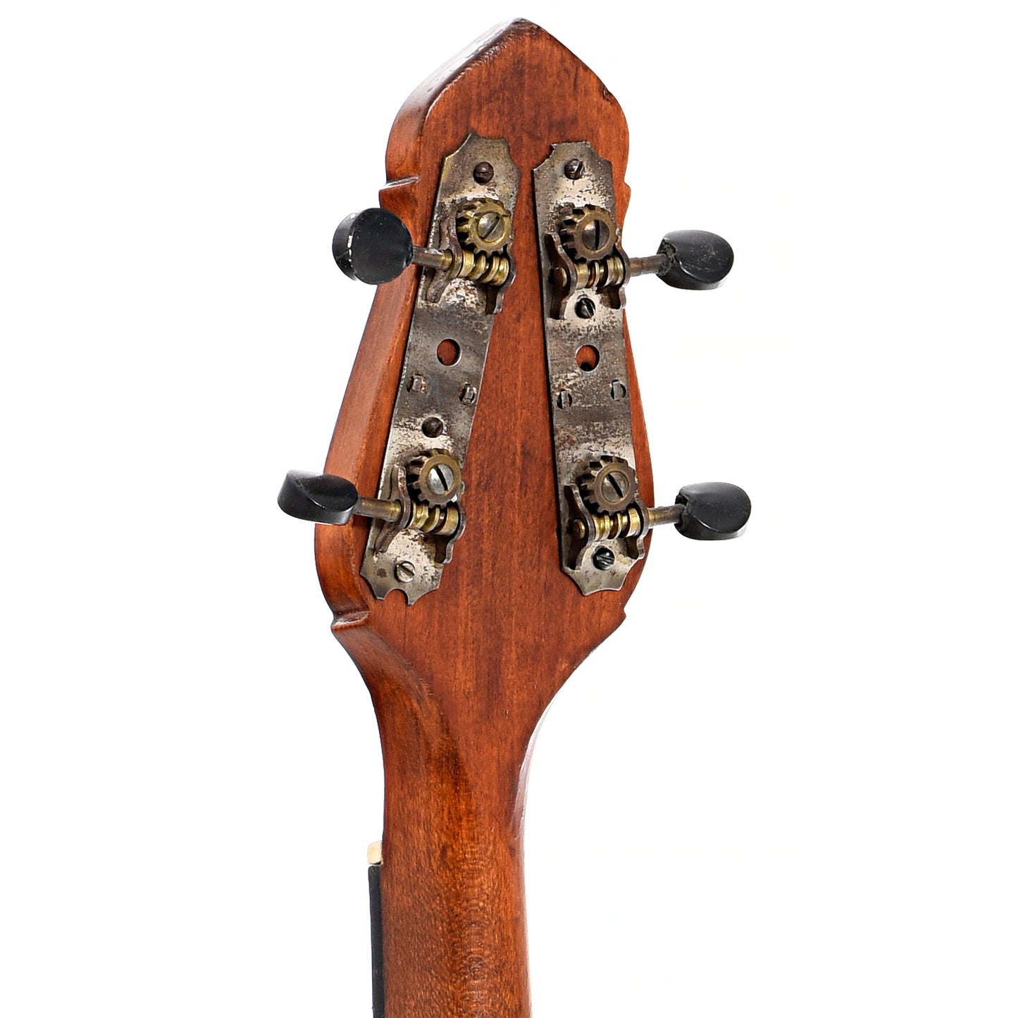 Back headstock of Gibson TB-0 Tenor Banjo (1924)
