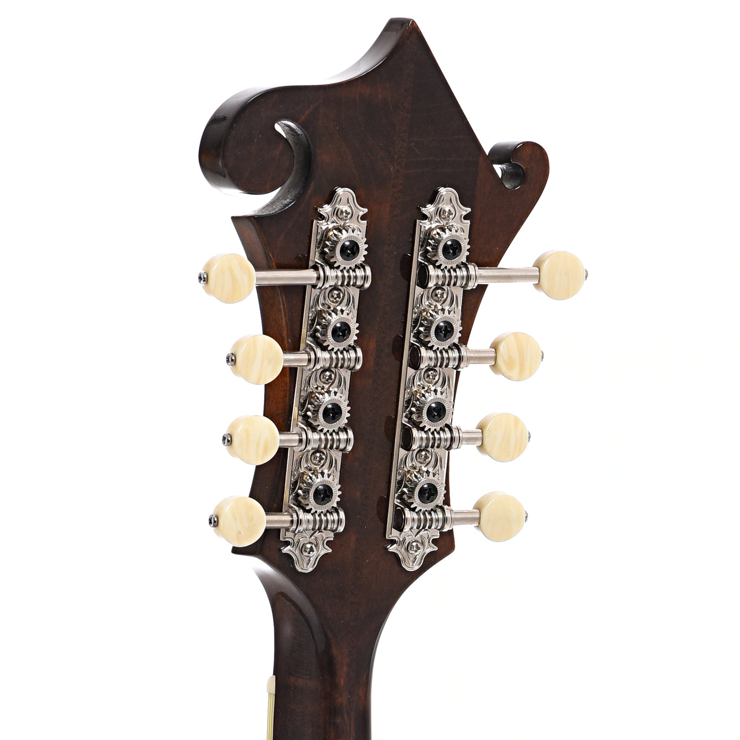 Back headstock of Eastman MD514 Classic Mandolin