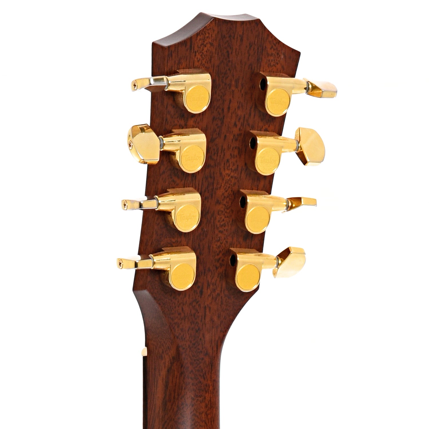 Back headstock of Taylor GT8 Baritone Acoustic 