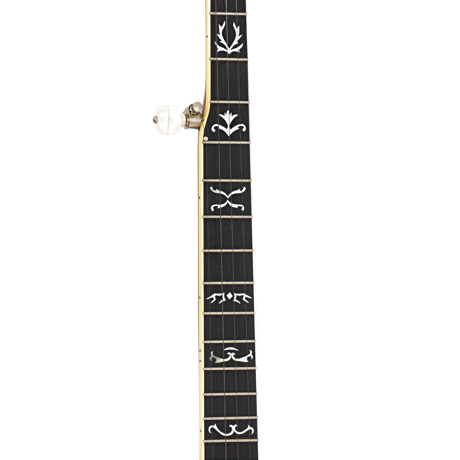 fretboard of Gold Star G11W Resonator Banjo