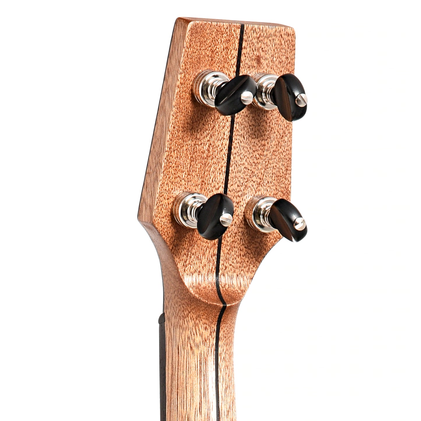 Image 8 of Dogwood Banjo Co. 12" Openback Banjo, No. 189, with Gigbag - SKU# DW189 : Product Type Open Back Banjos : Elderly Instruments