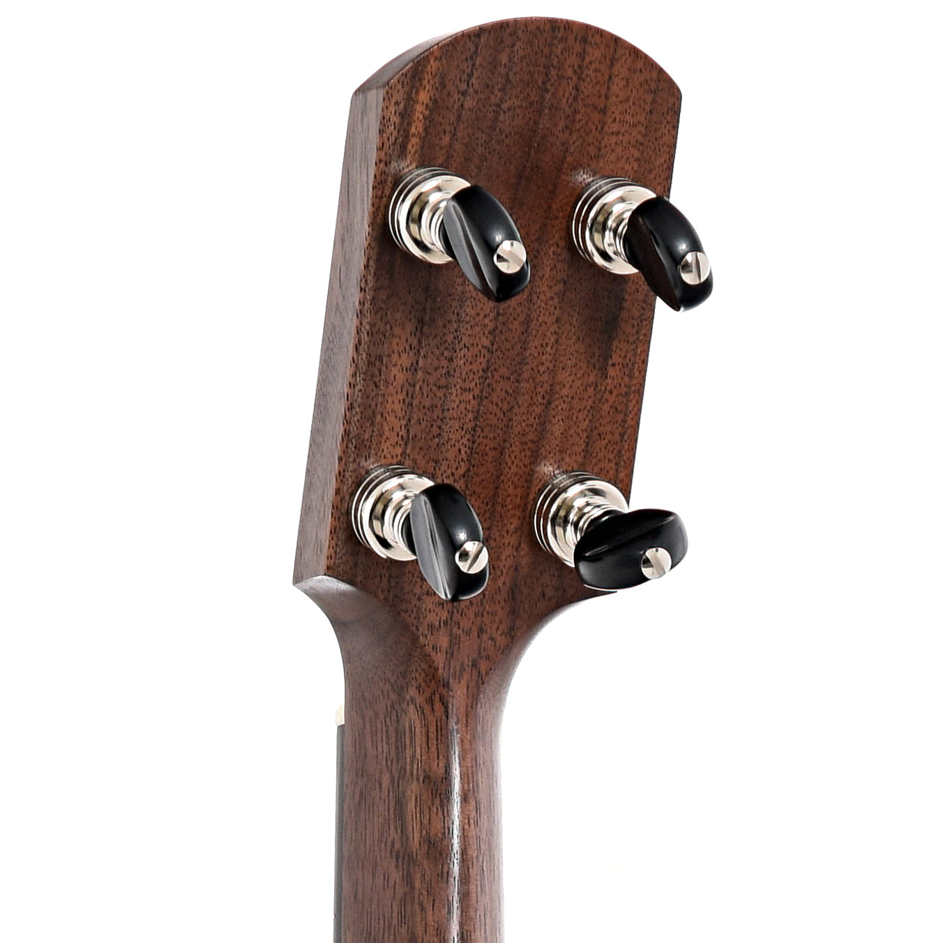 Back Headstock of Kevin Enoch 12" Tradesman Banjo 