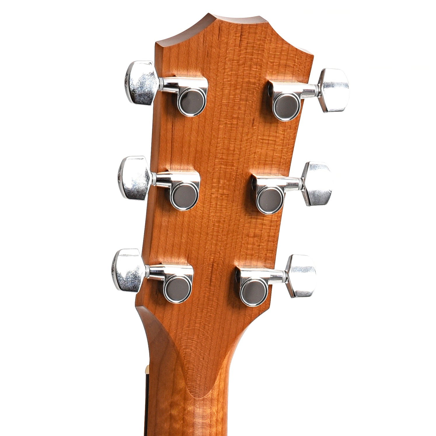 back headstock of Taylor Academy 12 Acoustic Guitar