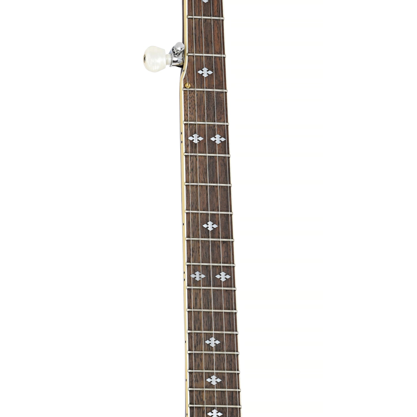 Gold Tone BG-250F Bluegrass Special Resonator Banjo (c.2004)