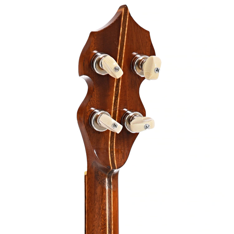 Back headstock of Ode Model 33 Extra Longneck Banjo
