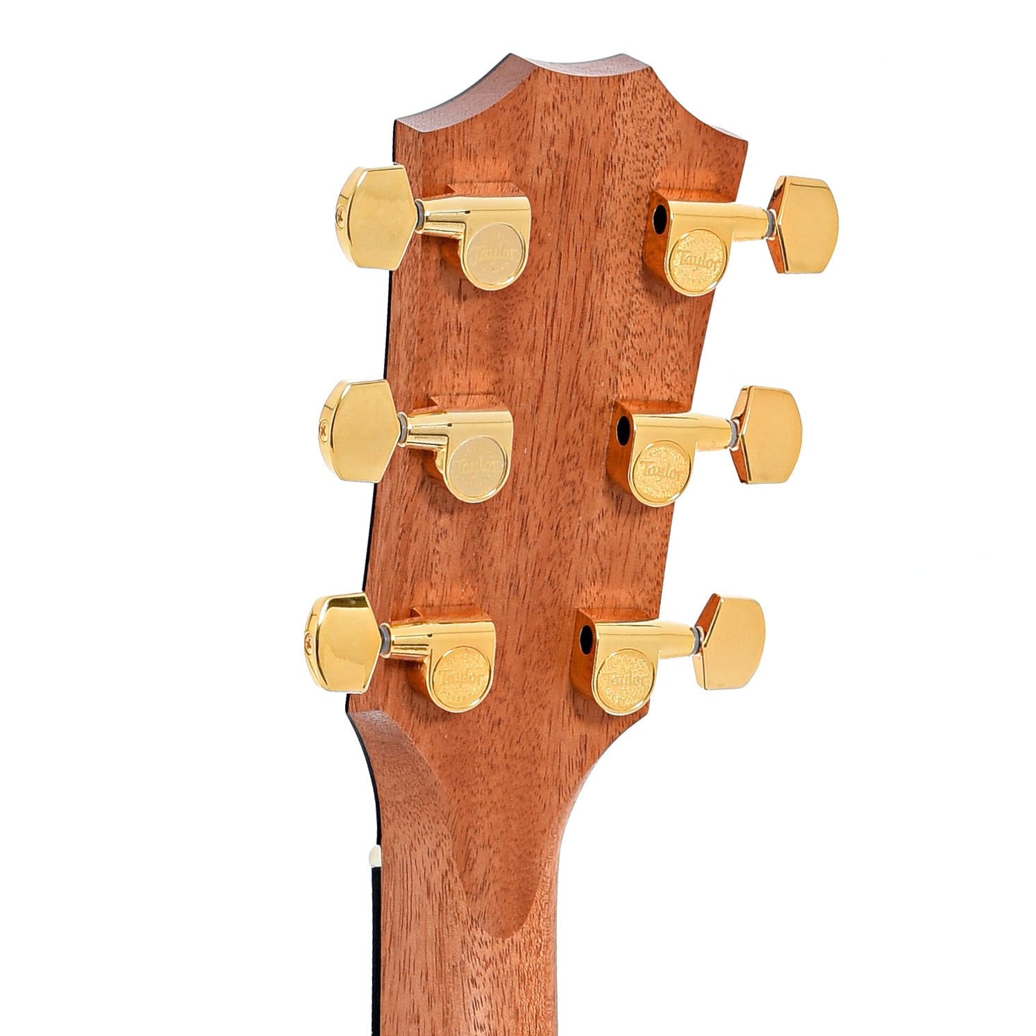 Back headstock of Taylor 224ce-K Deluxe LH