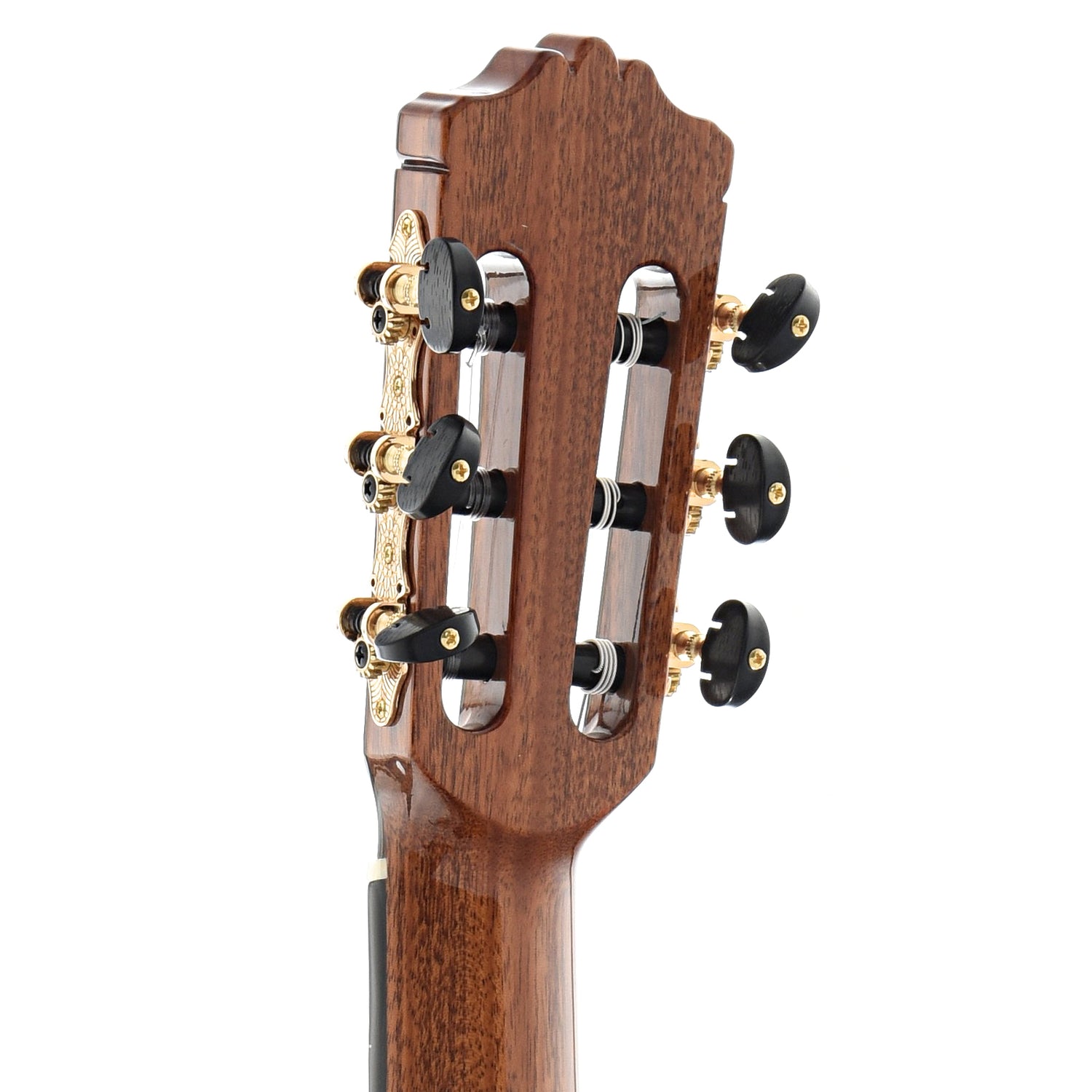 back headstock of Cordoba C10 Classical Guitar, Cedar Top