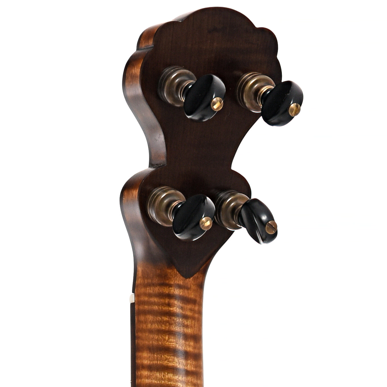 Back headstock of Pete Ross Dobson Banjo, 11" Rim