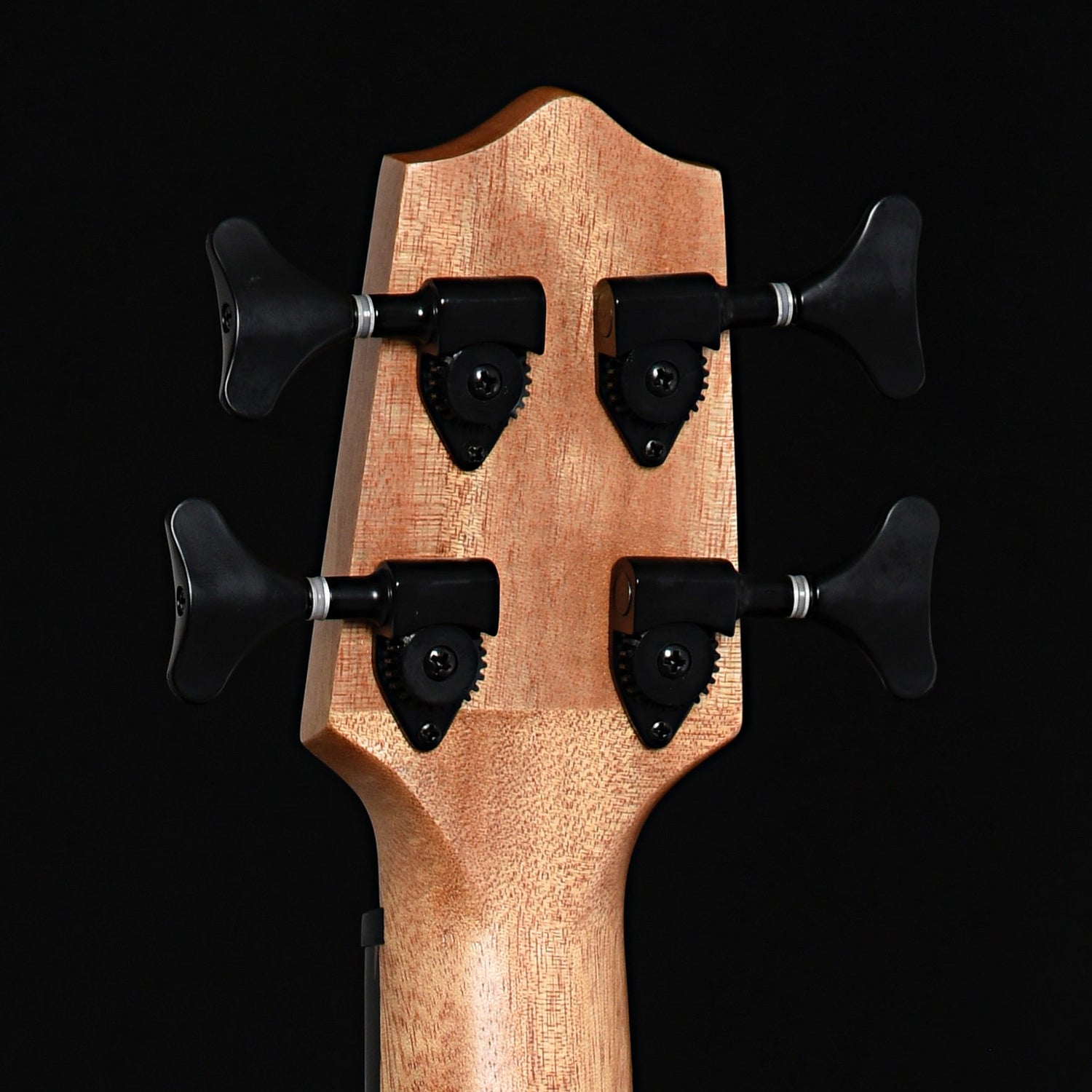Image 7 of Kala U-Bass Spalted Maple Fretted Mini-Bass - SKU# UBSMPL : Product Type Acoustic Bass Guitars : Elderly Instruments