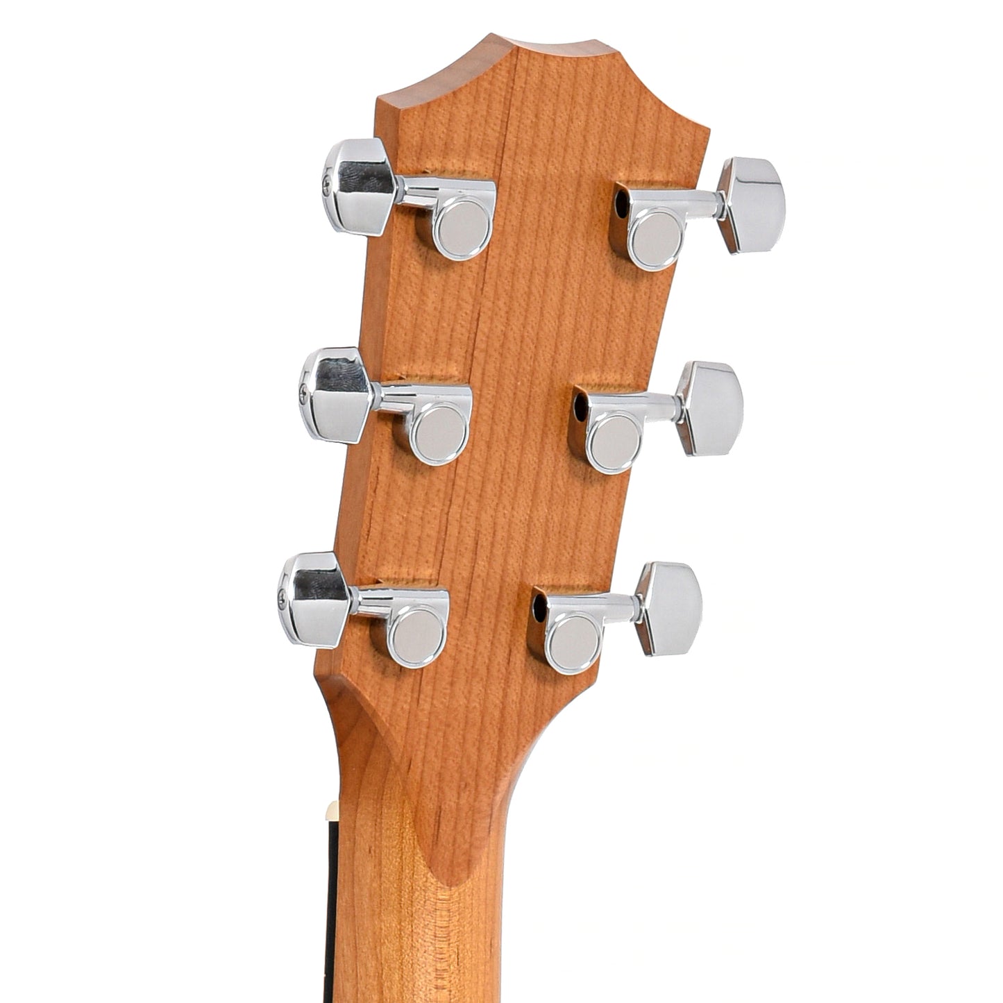 Back headstock of Taylor Academy 10 Acoustic