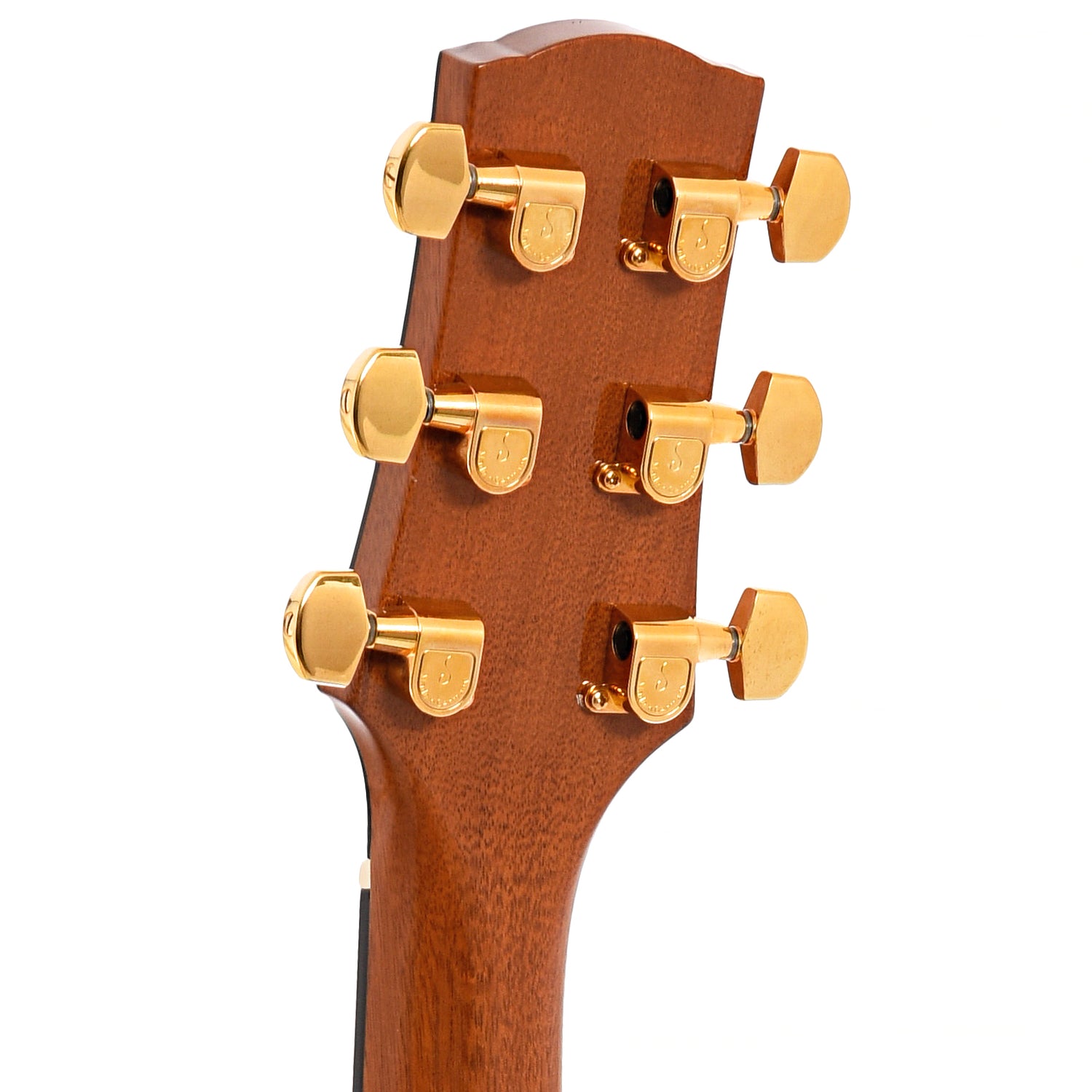 Back headstock of Sheppard Ave Maria Petite Concert Cutaway