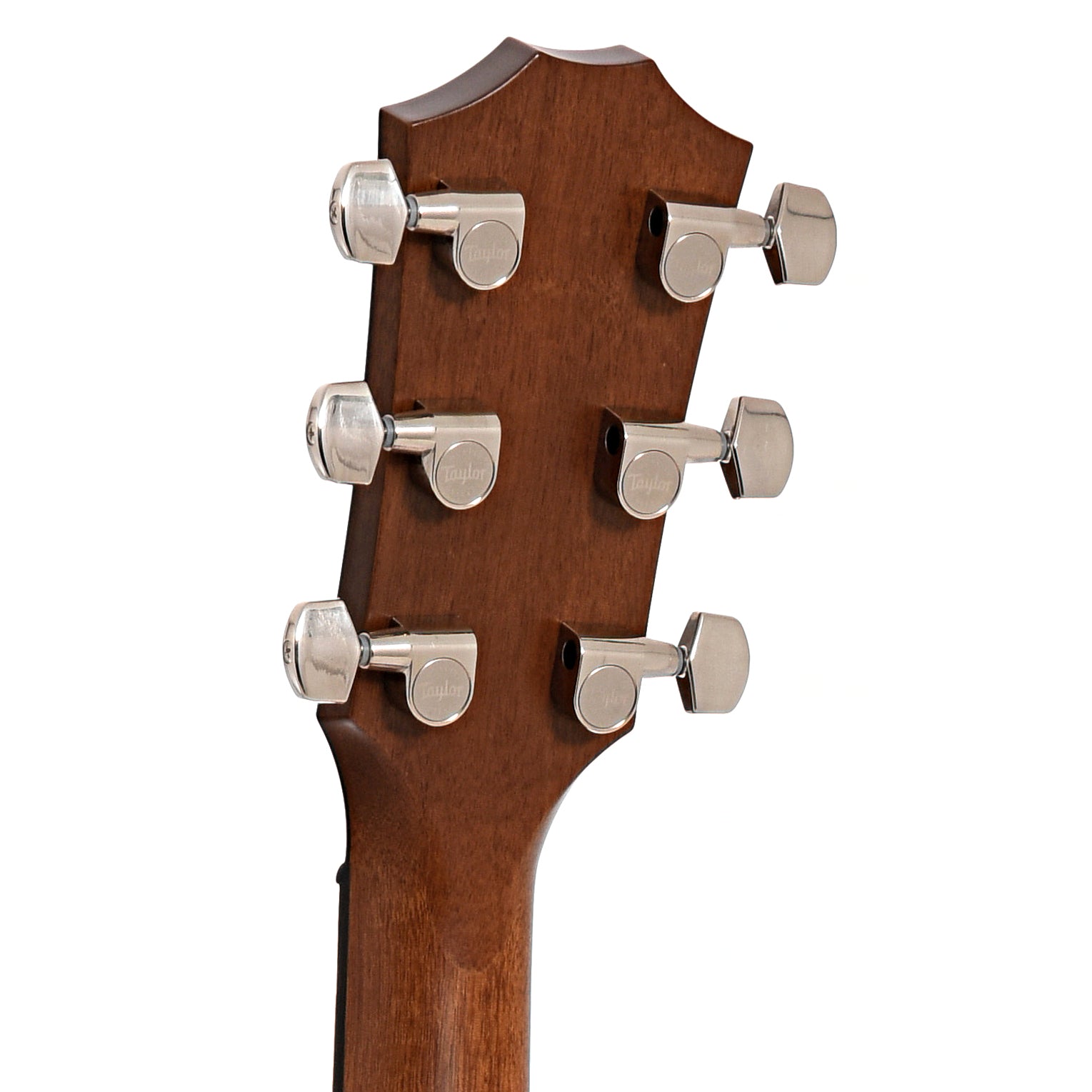 Back headstock of Taylor 514ce Acoustic Guitar 