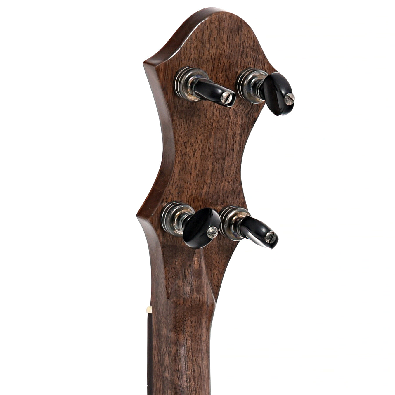 Image 8 of Pattison 12" Whyte Laydie Banjo, Walnut, #96B- SKU# PWL4 : Product Type Open Back Banjos : Elderly Instruments