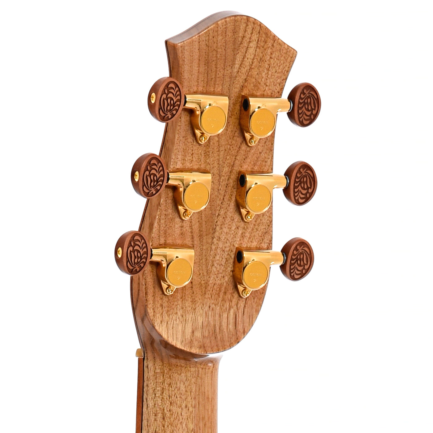 Back headstock of Petros Tunnel 13 GC Acoustic