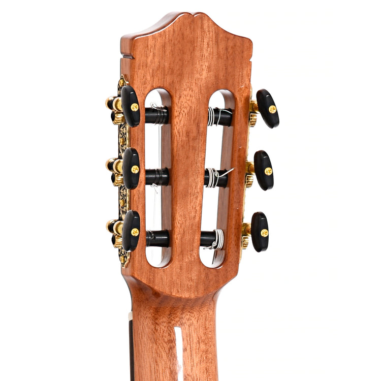 Back headstock of Cordoba C7 Classical Guitar, Cedar Top