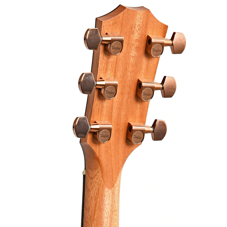 Image 8 of Taylor 214ce Deluxe & Case, Left Handed - SKU# 214CEDLXLH : Product Type Flat-top Guitars : Elderly Instruments